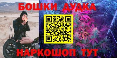 2c-b Камышлов