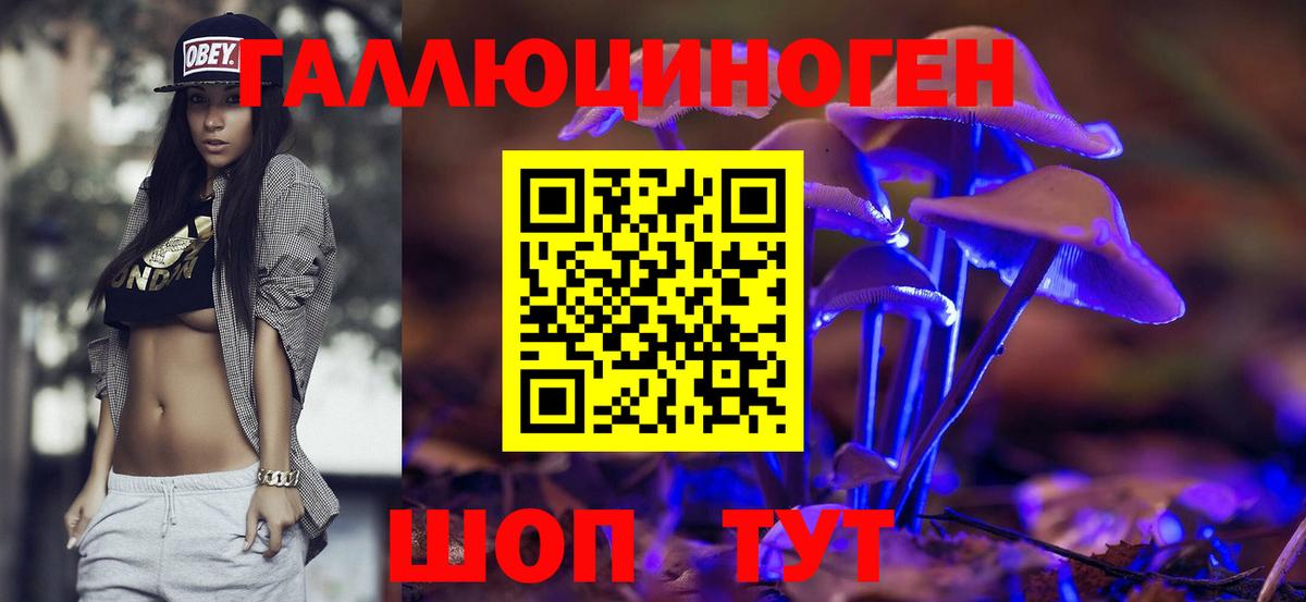 Псилоцибиновые грибы GOLDEN TEACHER Ленинск-Кузнецкий