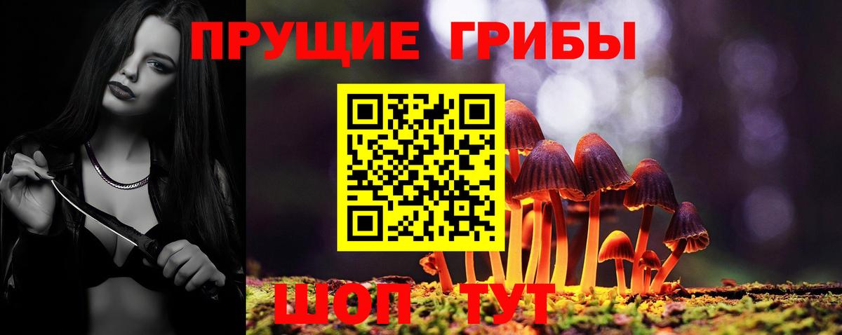 Псилоцибиновые грибы MAGIC MUSHROOMS  купить наркотики цена  Ленинск-Кузнецкий  Вход с VPN 